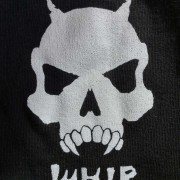 Whip Skull Artwork